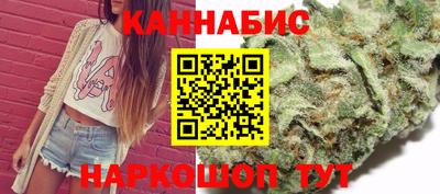 индика Тулун