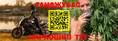 индика Тулун