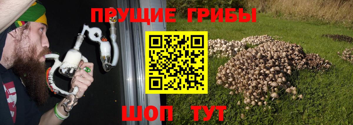 Астрахань  Галлюциногенные грибы мицелий  Вход с VPN 