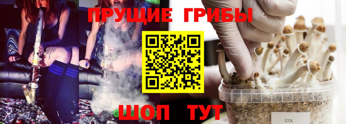Галлюциногенные грибы MAGIC MUSHROOMS Астрахань